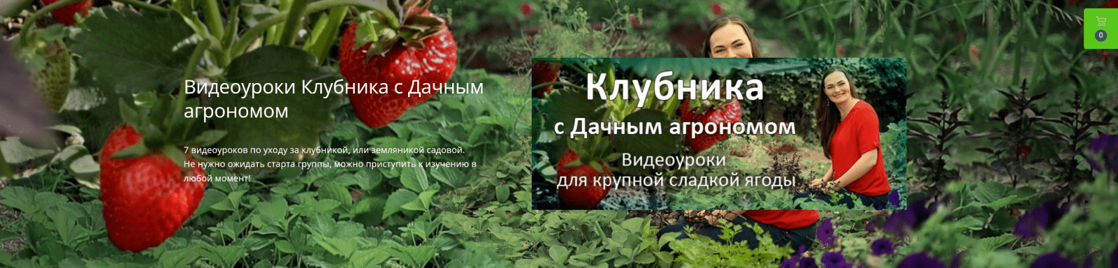 [Дачный агроном] Видеоуроки Клубника от А до Я (2022)