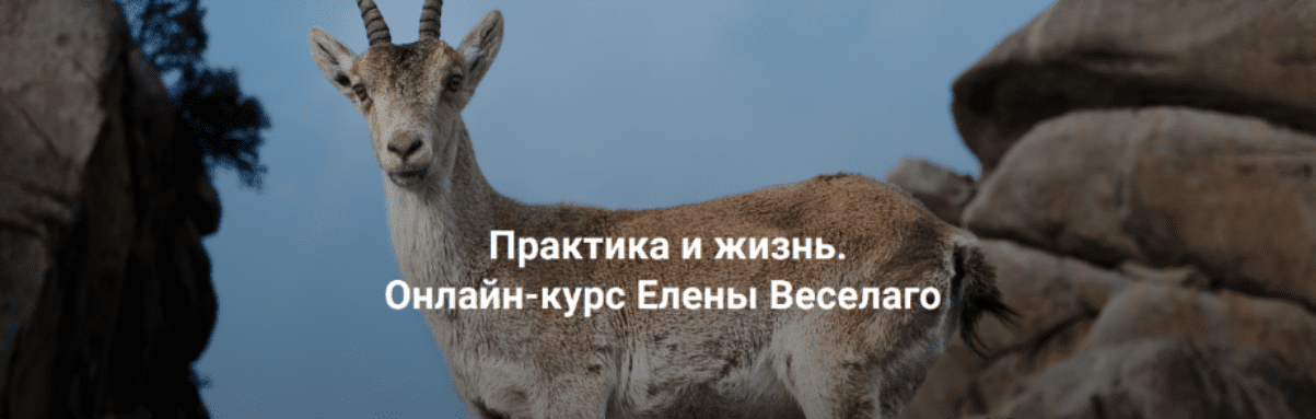 [Елена Веселаго] [Институт Открытого Поля] Практика и жизнь. Ступень 2 (2024)